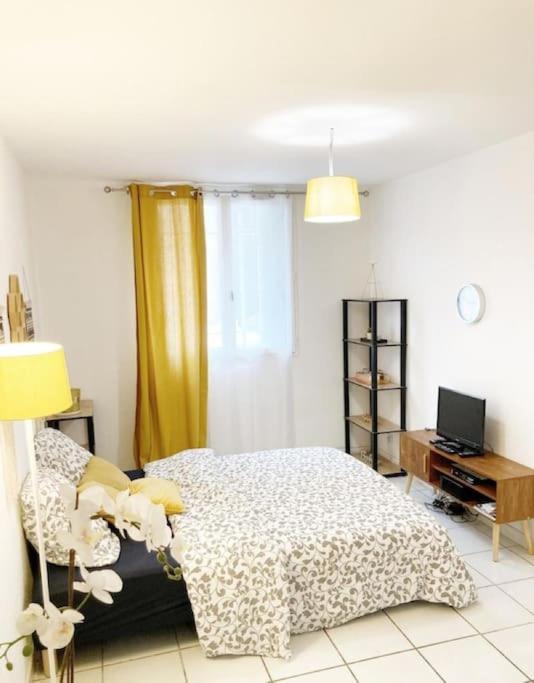 Studio A 5 Mn A Pied De La Gare Saint-Roch 몽펠리에 외부 사진